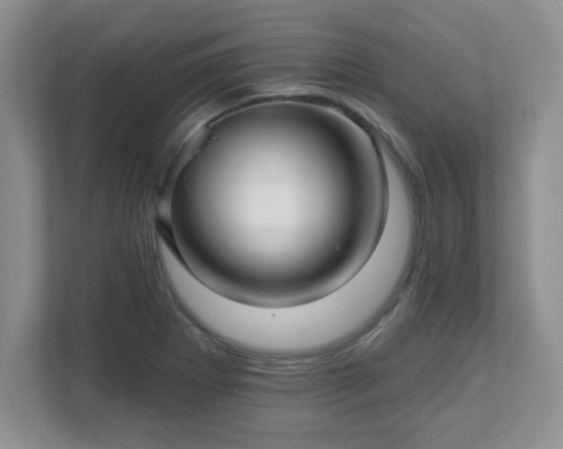 X0000113121273200909041259