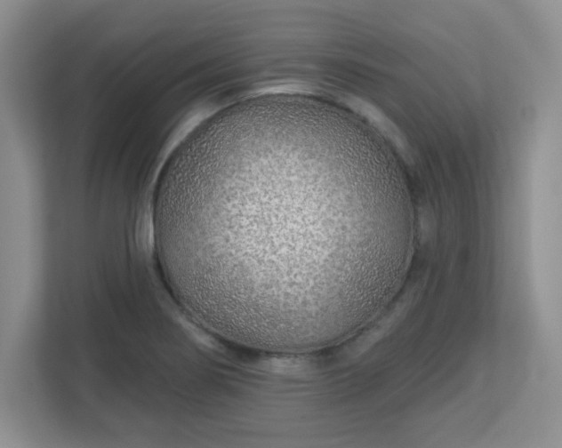 X0000113121274200909041259