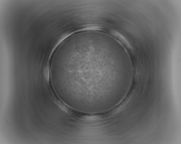 X0000113121276200909041259