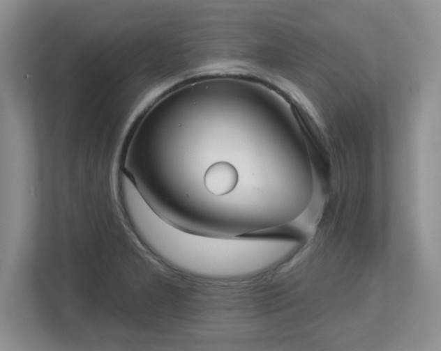 X0000113121277200909041259