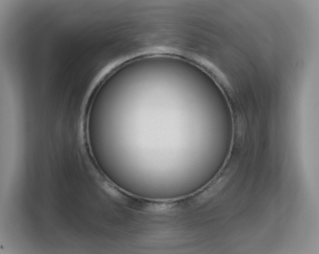 X0000113121278200909041259