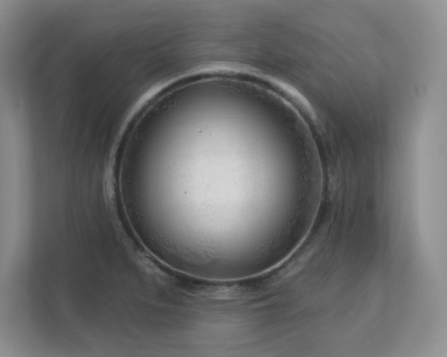 X0000113121279200909041259