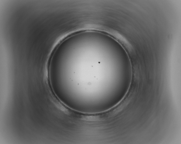 X0000113121280200909041258