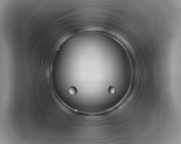 X0000113121281200909041258