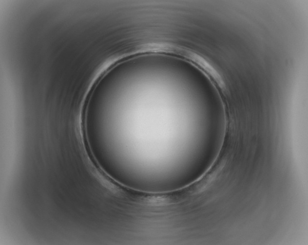 X0000113121283200909041258