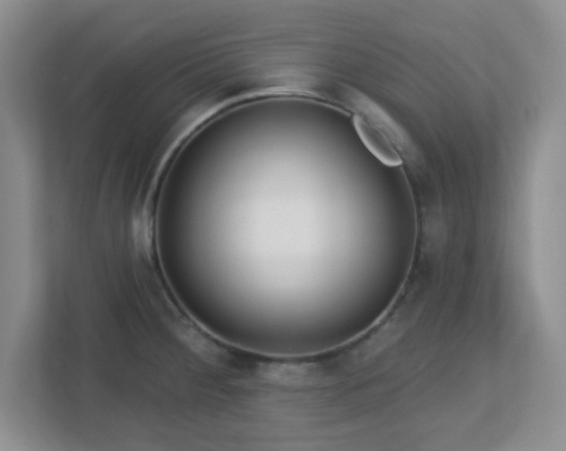 X0000113121284200909041258