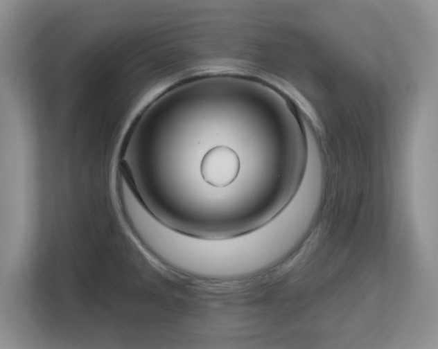 X0000113121285200909041258