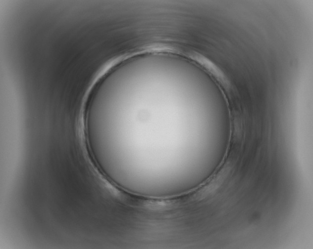 X0000113121286200909041258