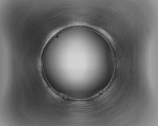 X0000113121287200909041258