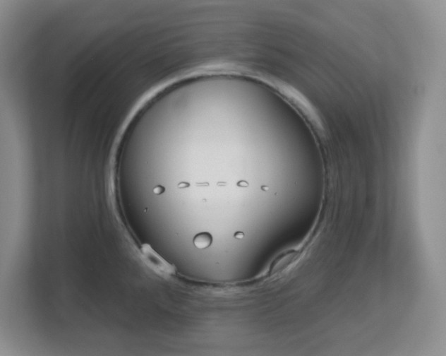 X0000113121288200909041258