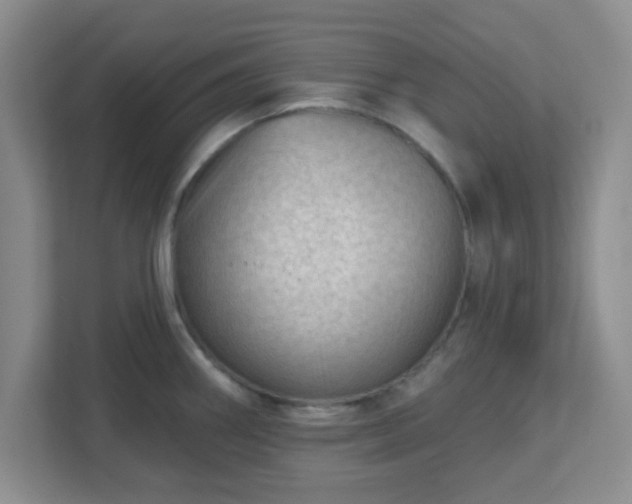 X0000113121290200909041258