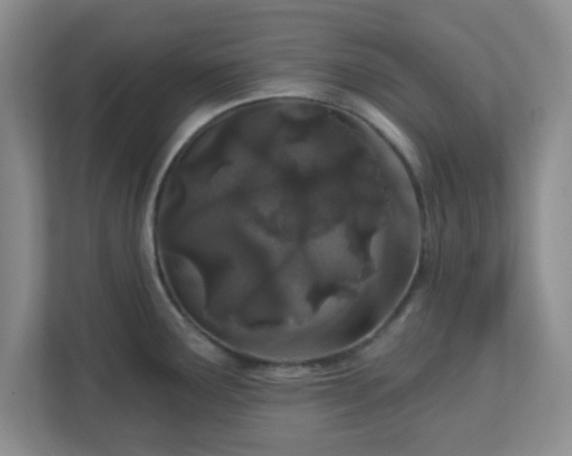 X0000113121291200909041258