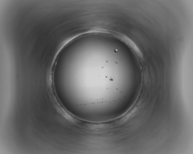 X0000113121292200909041258