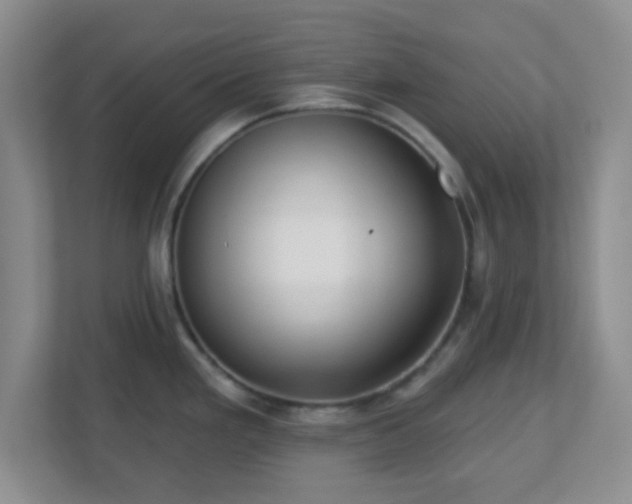 X0000113121293200909041258