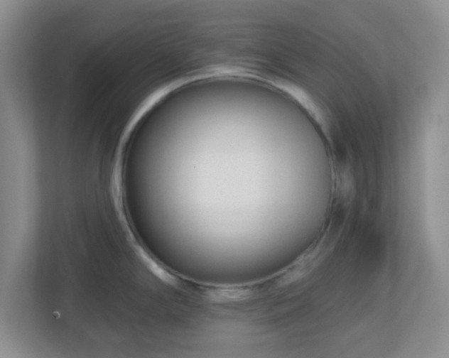 X0000113121294200909041258