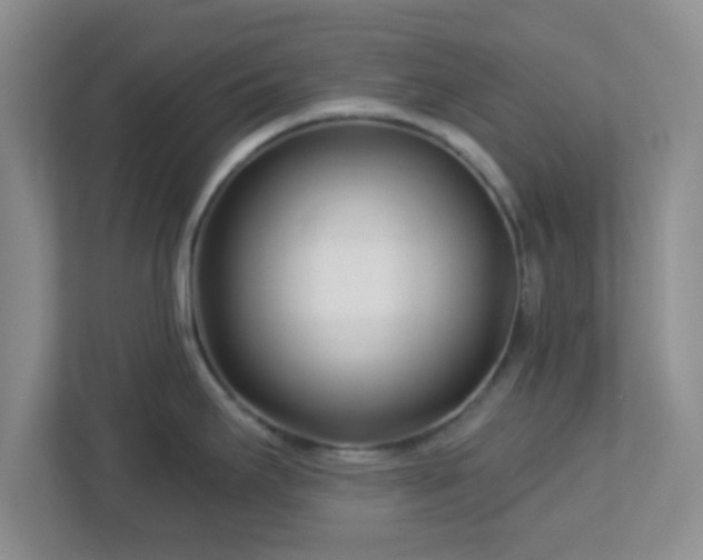 X0000113121295200909041258