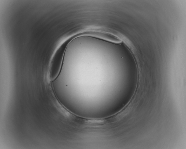 X0000113121296200909041258