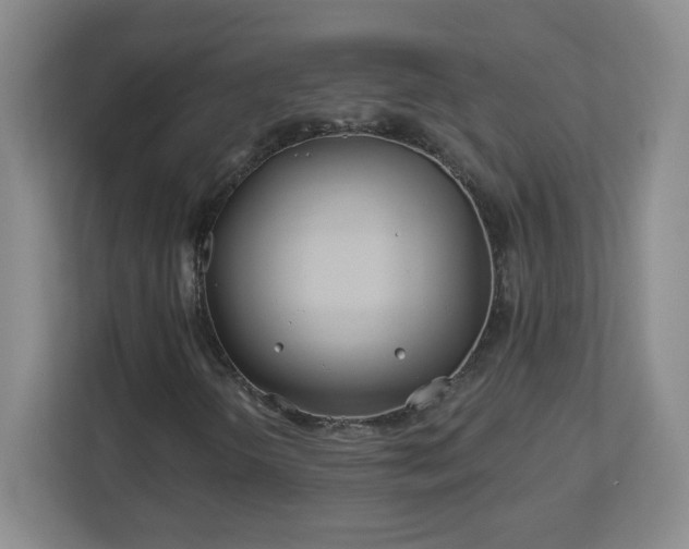 X0000113121298200909041258