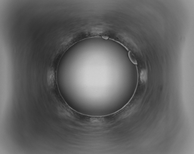 X0000113121299200909041258