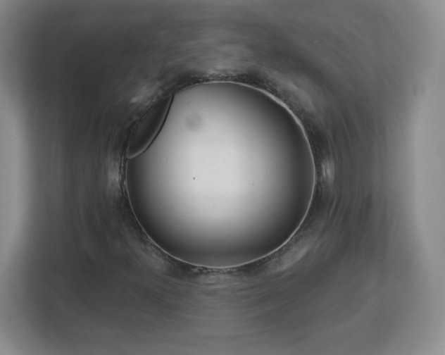 X0000113121300200909041258