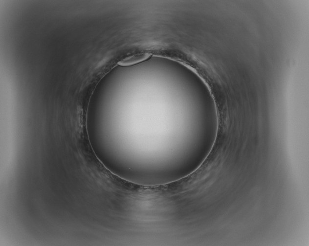 X0000113121301200909041258