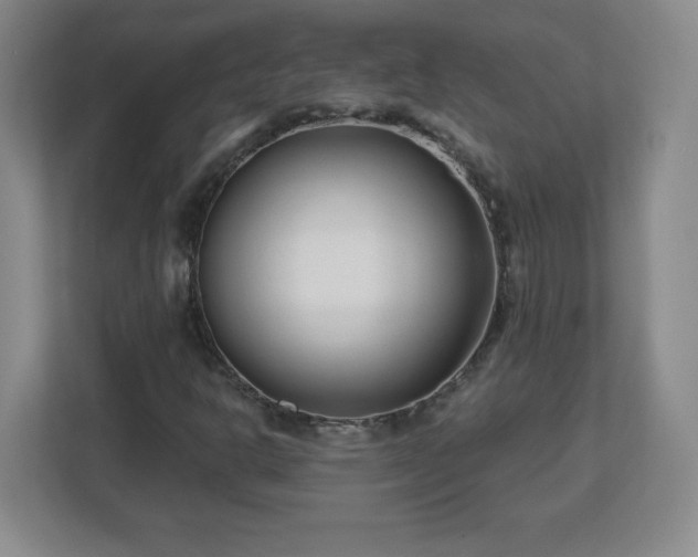 X0000113121302200909041258