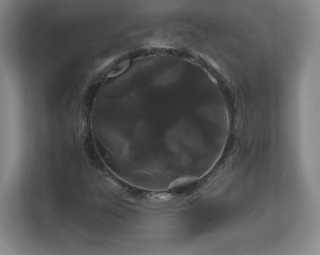 X0000113121303200909041258