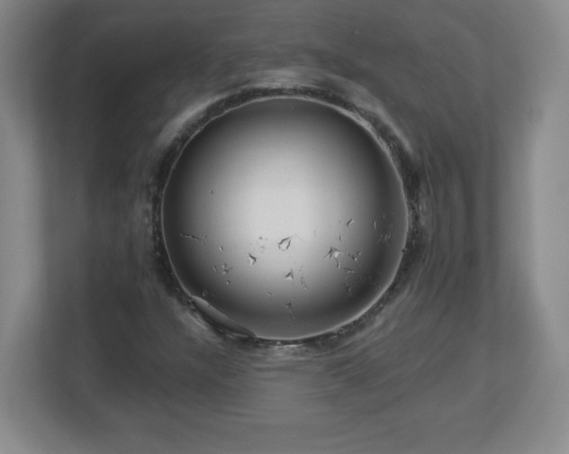 X0000113121304200909041258