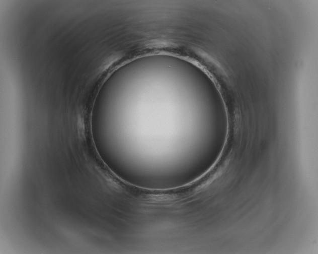 X0000113121305200909041258