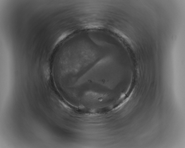 X0000113121306200909041258