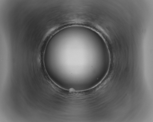 X0000113121307200909041258