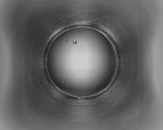 X0000113121308200909041258