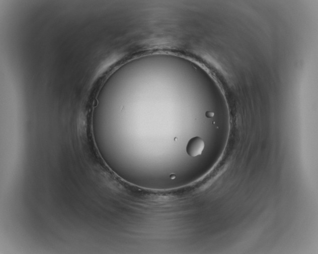 X0000113121309200909041258