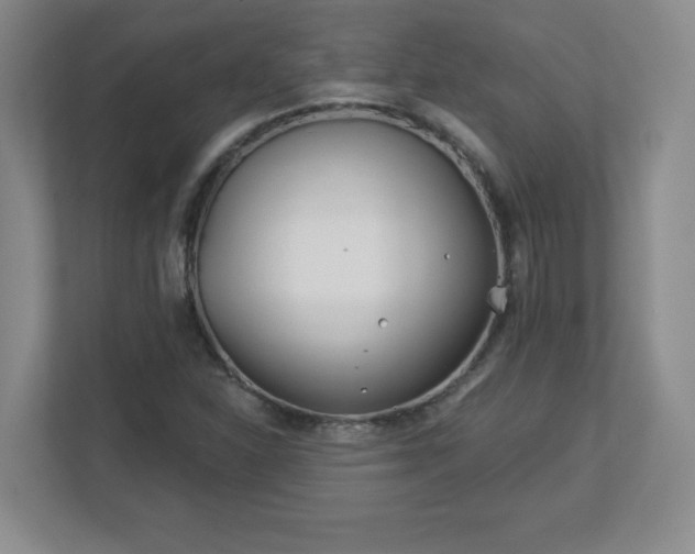 X0000113121310200909041258