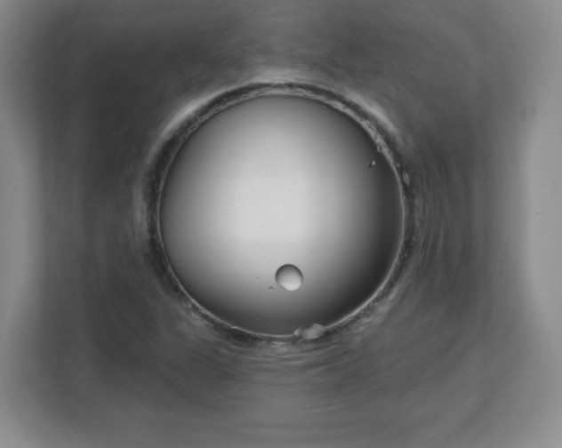 X0000113121311200909041258