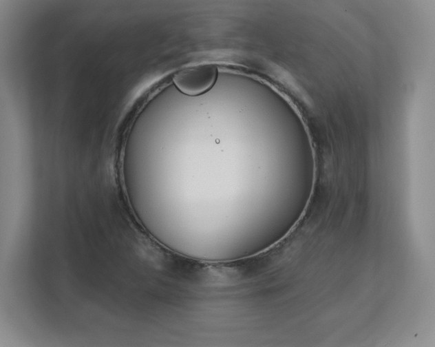 X0000113121312200909041258