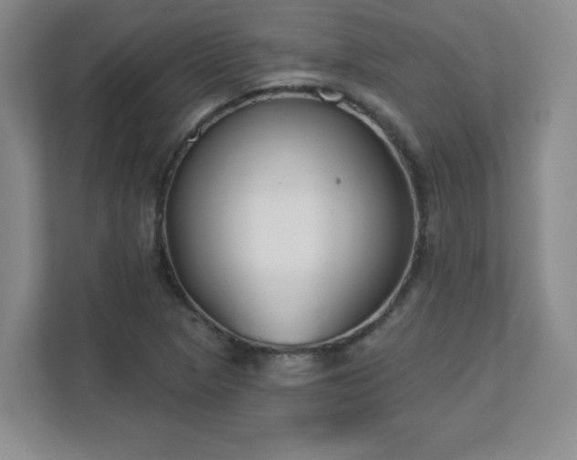 X0000113121313200909041258