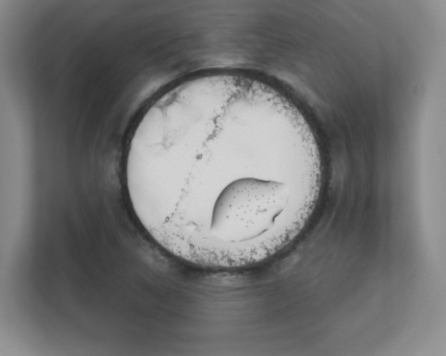 X0000113121314200909041258