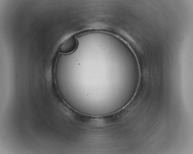 X0000113121315200909041258