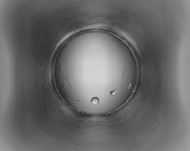 X0000113121316200909041258