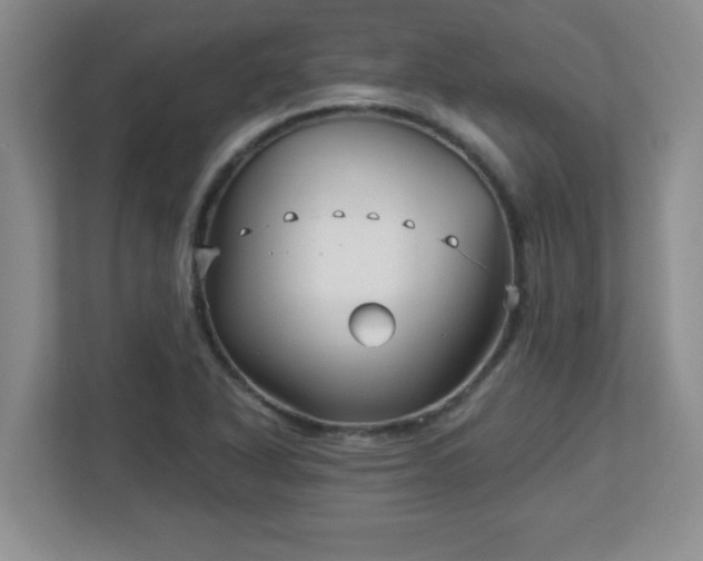 X0000113121318200909041258