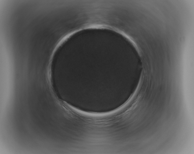 X0000113121319200909041258