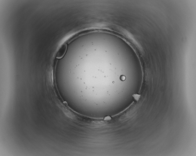 X0000113121320200909041258