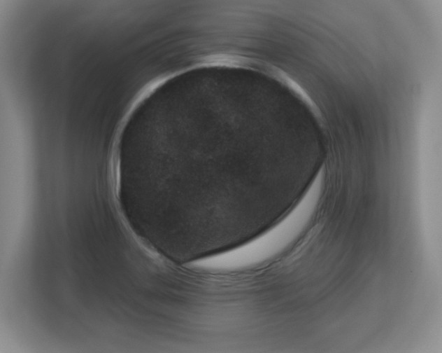 X0000113121323200909041258