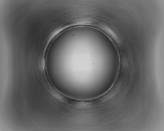 X0000113121324200909041258