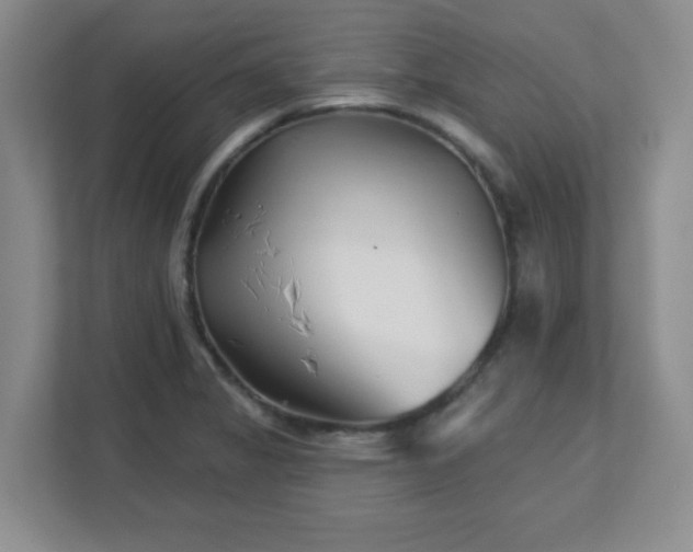 X0000113121325200909041258