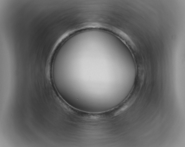 X0000113121326200909041258