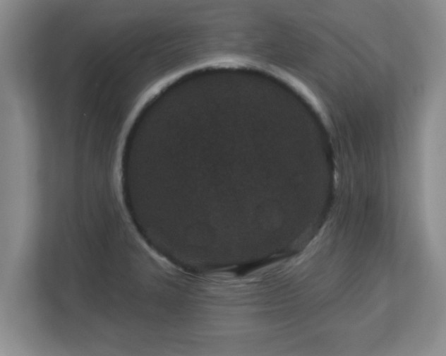 X0000113121327200909041258