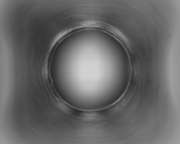 X0000113121328200909041258