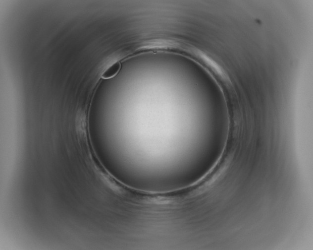 X0000113121329200909041258